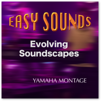 MONTAGE 'Evolving Soundscapes' (Download) MONTAGE 'Evolving Soundscapes' (Download)