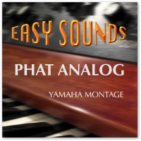 MONTAGE 'Phat Analog' (Download) MONTAGE 'Phat Analog' (Download)