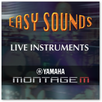 MONTAGE M 'Live Instruments' (Download) MONTAGE M 'Live Instruments' (Download)
