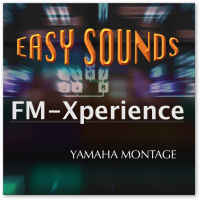 MONTAGE 'FM-Xperience' (Download) MONTAGE 'FM-Xperience' (Download)