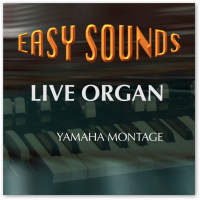 MONTAGE 'Live Organ' (Download) MONTAGE 'Live Organ' (Download)