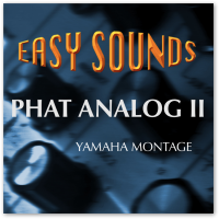 MONTAGE 'Phat Analog II' (Download) MONTAGE 'Phat Analog II' (Download)