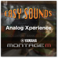 MONTAGE M 'Analog Xperience' (Download) MONTAGE M 'Analog Xperience' (Download)