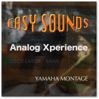 MONTAGE 'Analog Xperience' (Download) MONTAGE 'Analog Xperience' (Download)