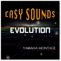 MONTAGE 'Evolution' (Download) MONTAGE 'Evolution' (Download)