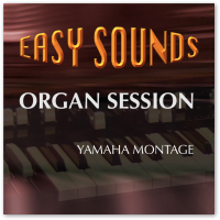 MONTAGE 'Organ Session' (Download) MONTAGE 'Organ Session' (Download)