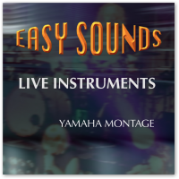 MONTAGE 'Live Instruments' (Download) MONTAGE 'Live Instruments' (Download)