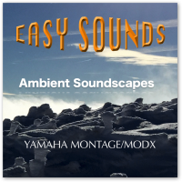 MONTAGE 'Ambient Soundscapes' (Download) MONTAGE 'Ambient Soundscapes' (Download)